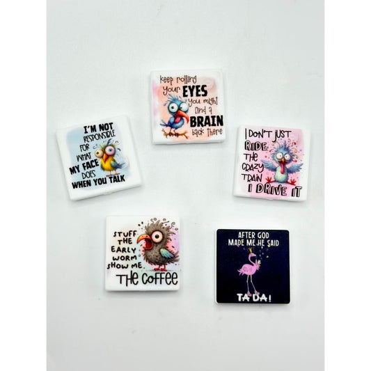 A Birds Collection In Different States With Proverbs Silicone Focal Beads Random Mix