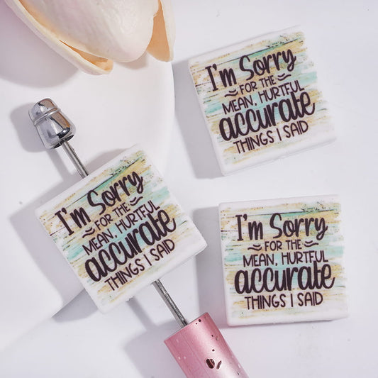 Flat Square Shape Silicone Focal Beads with text Funny “"I'm Sorry FOR THR MEAN, HURTFUL accurate THINGS I SAID",