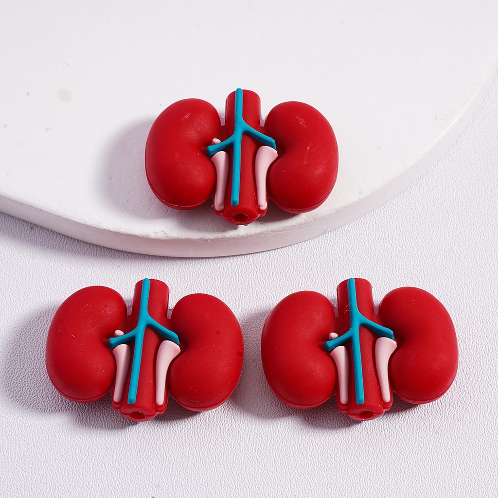 3D Vivid Red Heart, Kidney, Lung, Stomach Silicone Focal Beads Random Mix
