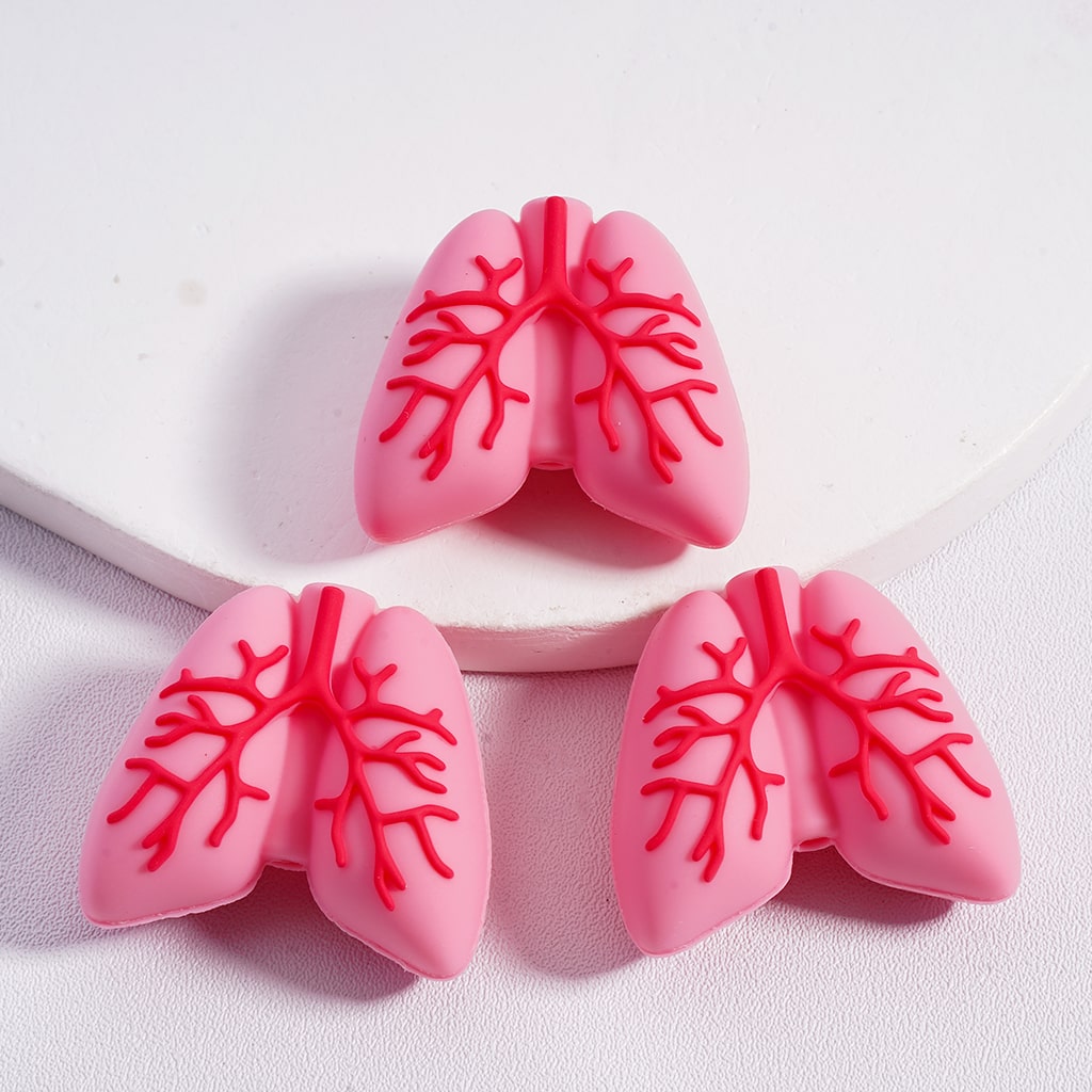 3D Vivid Red Heart, Kidney, Lung, Stomach Silicone Focal Beads Random Mix