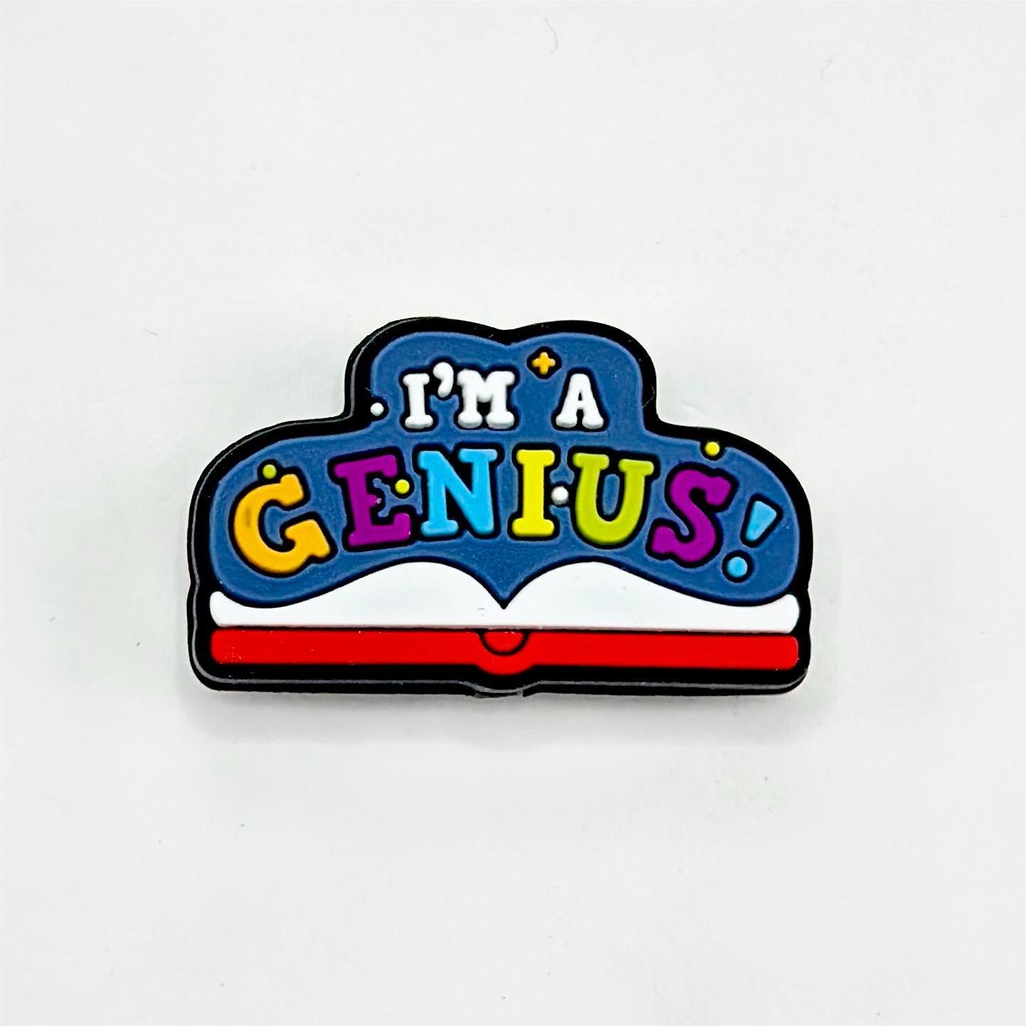 Science Study Intelligence I'm A Genius Silicone Focal Beads